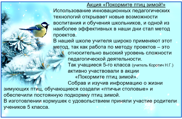 Зима средняя планирование. Покормите птиц зимой. Акция Покорми птиц зимой. Акция Покормите птиц зимой. Проект Накорми птиц зимой.